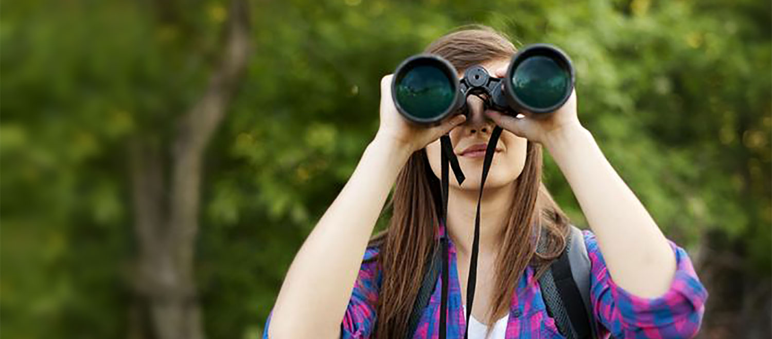 3 Amazing Bird Watching Apps