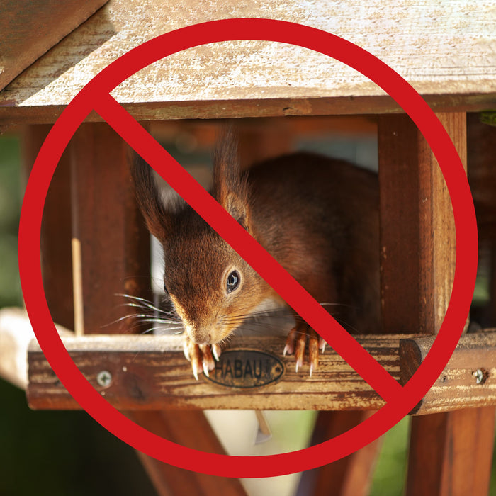 squirrel barrier